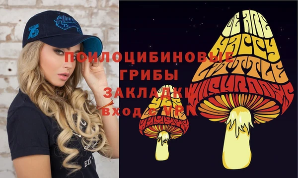 соль курить ск Богородицк