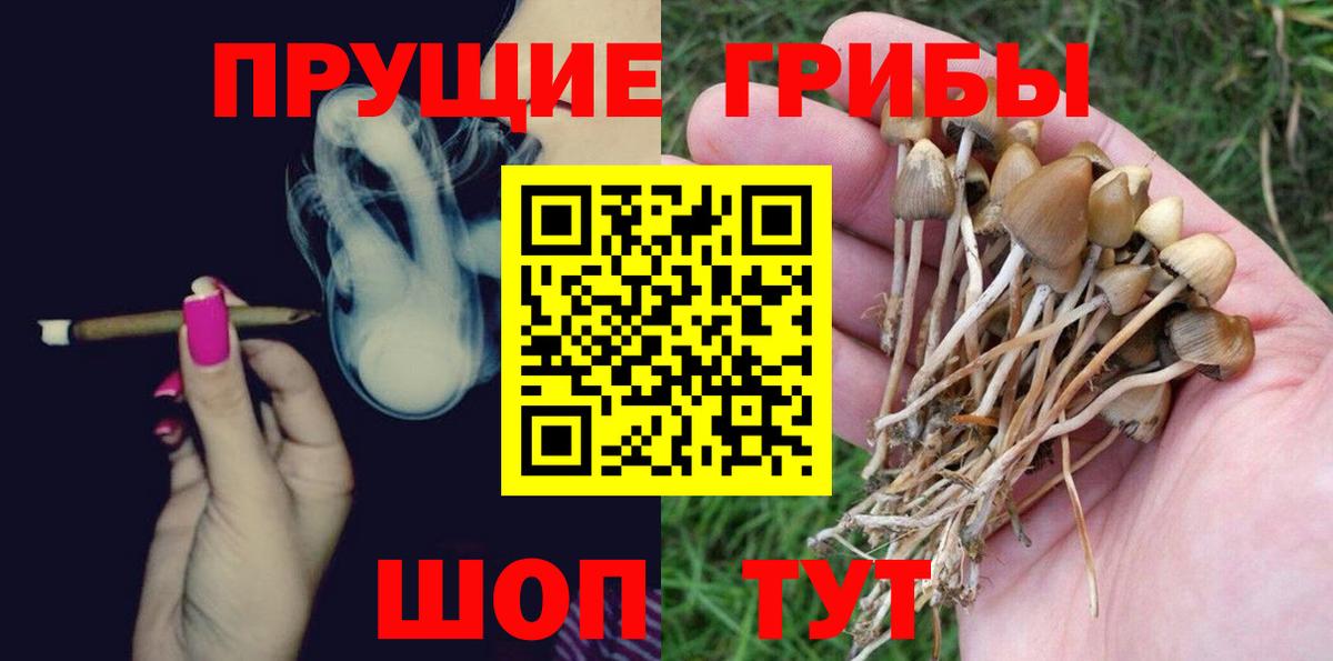 хочу   Псилоцибиновые грибы Cubensis  Вход с VPN  Маркс  Галлюциногенные грибы Magic Shrooms 